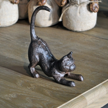 CHAT EN FONTE