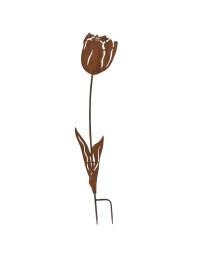 Tuteur fer décoratif tulipe à planter 24x1x90cm