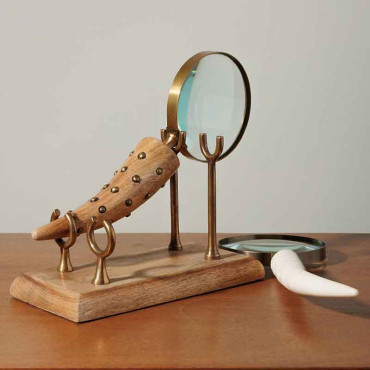 Ensemble 2 loupe cornes sur pied 16x31x8cm
