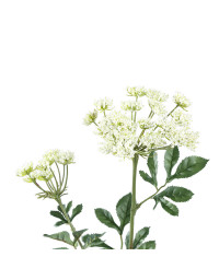 Fleur Artificielle Ammi Blanche en Polyester Haute Tige 74cm