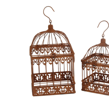Set 2 cages plantes 19x36cm