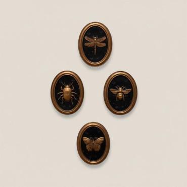 Ensemble 4 cadres insectes Entomologie 13x17cm