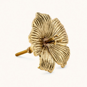 Bouton de tiroir Fleur Hibiscus Doré Laiton Recyclé 8x8x9cm
