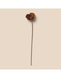 Tuteur jardin fleur fer rouille 6x6x50cm