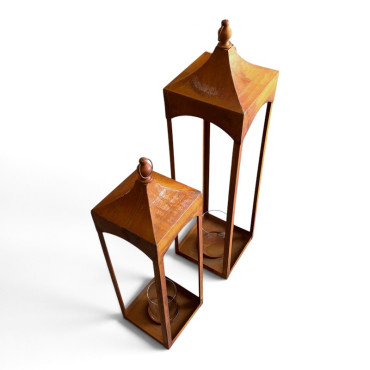 Set 2 cages plantes 25x25x99cm