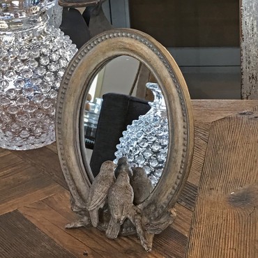 Miroir aux oiseaux