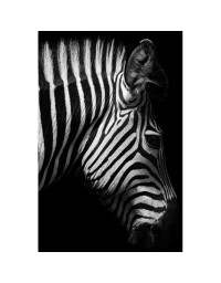 Toile zèbre noir blanc 66x95cm
